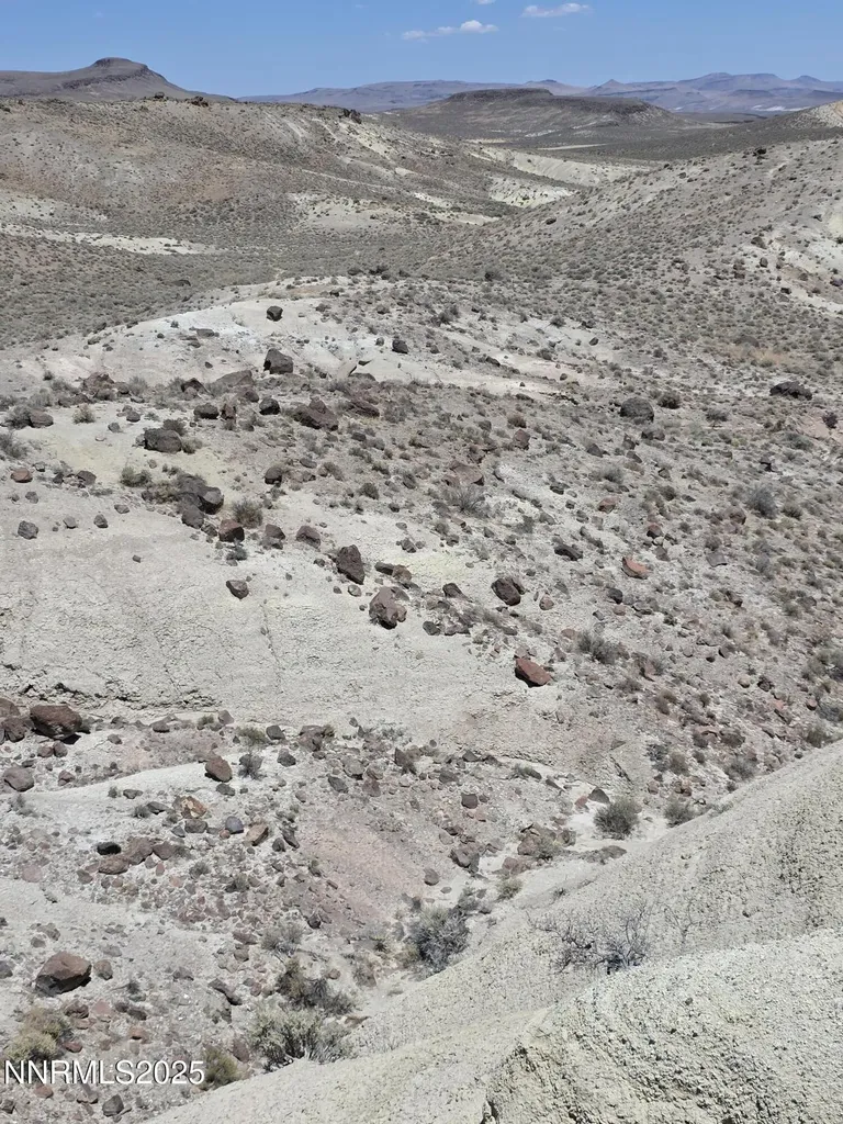 3301 High Rock Gerlach NV 89412