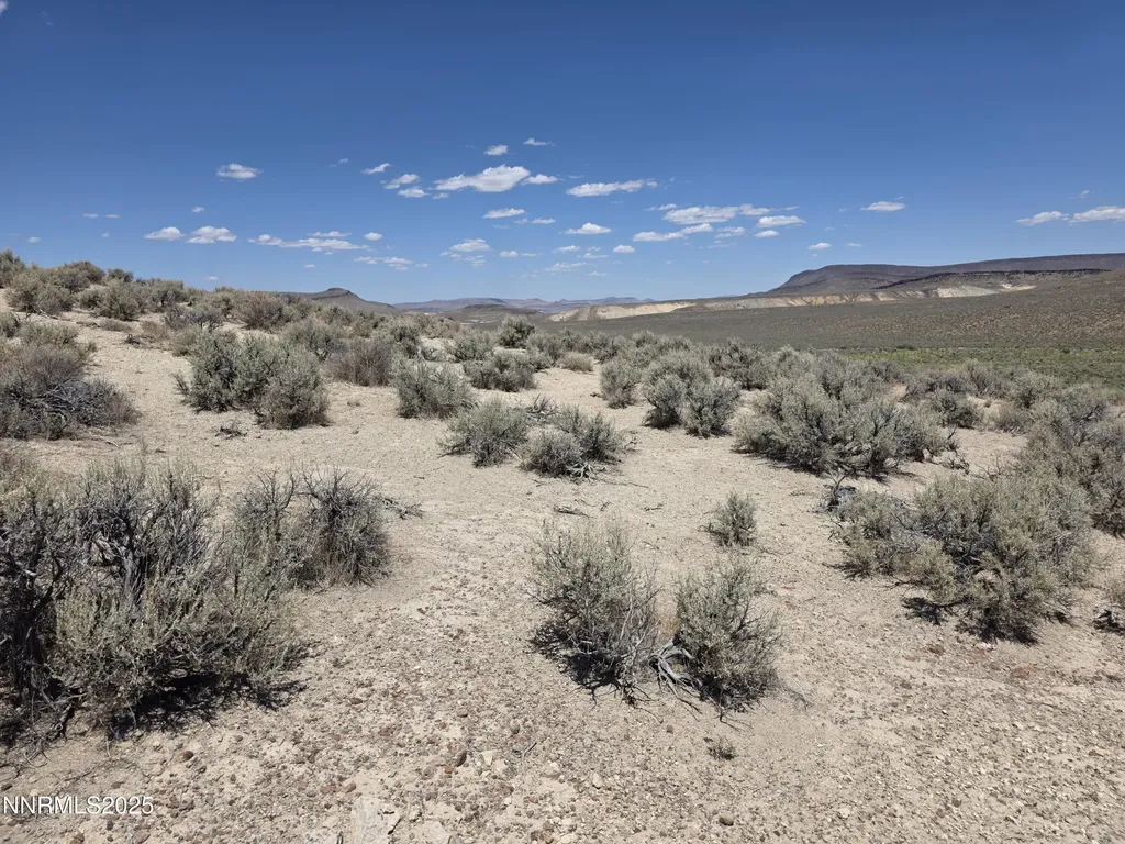 3301 High Rock Gerlach NV 89412