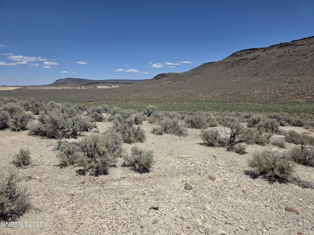 3301 High Rock Gerlach NV 89412