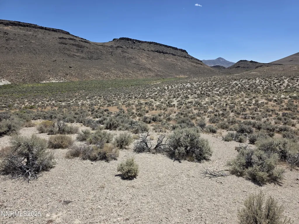 3301 High Rock Gerlach NV 89412