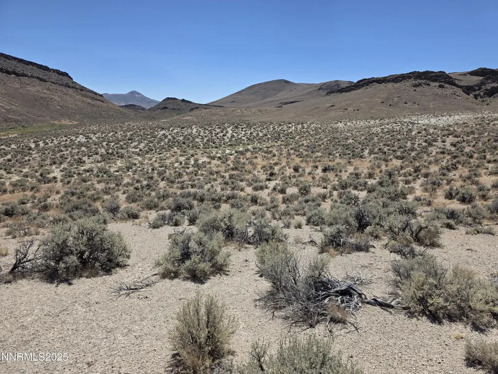 3301 High Rock Gerlach NV 89412