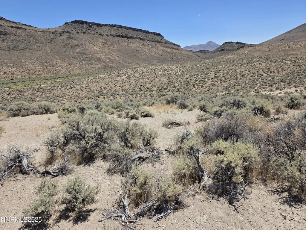 3301 High Rock Gerlach NV 89412