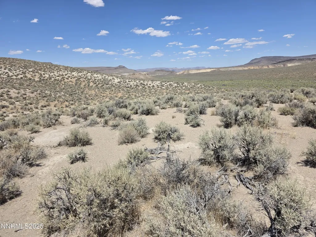3301 High Rock Gerlach NV 89412