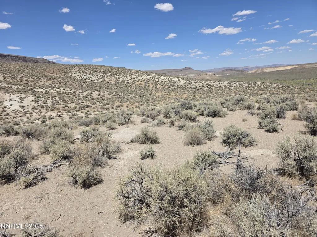 3301 High Rock Gerlach NV 89412