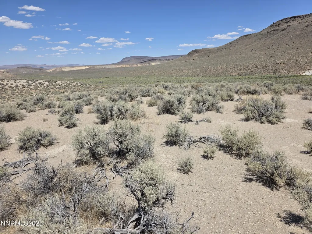 3301 High Rock Gerlach NV 89412