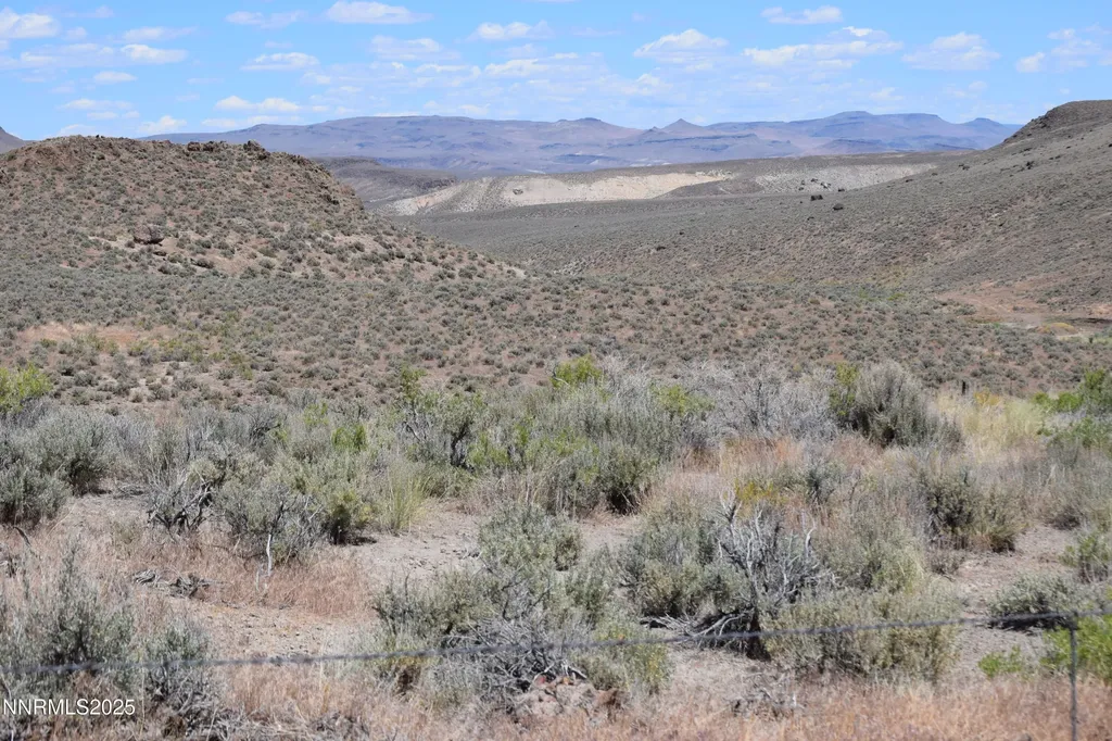 3301 High Rock Gerlach NV 89412