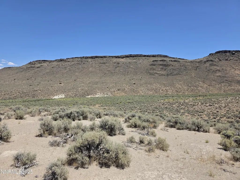 3301 High Rock Gerlach NV 89412