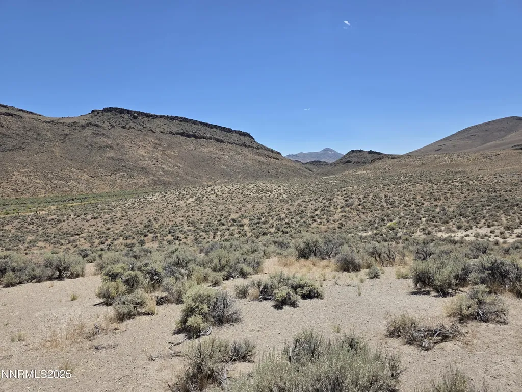 3301 High Rock Gerlach NV 89412