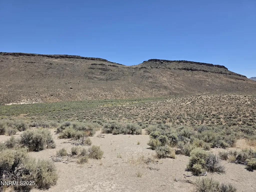 3301 High Rock Gerlach NV 89412