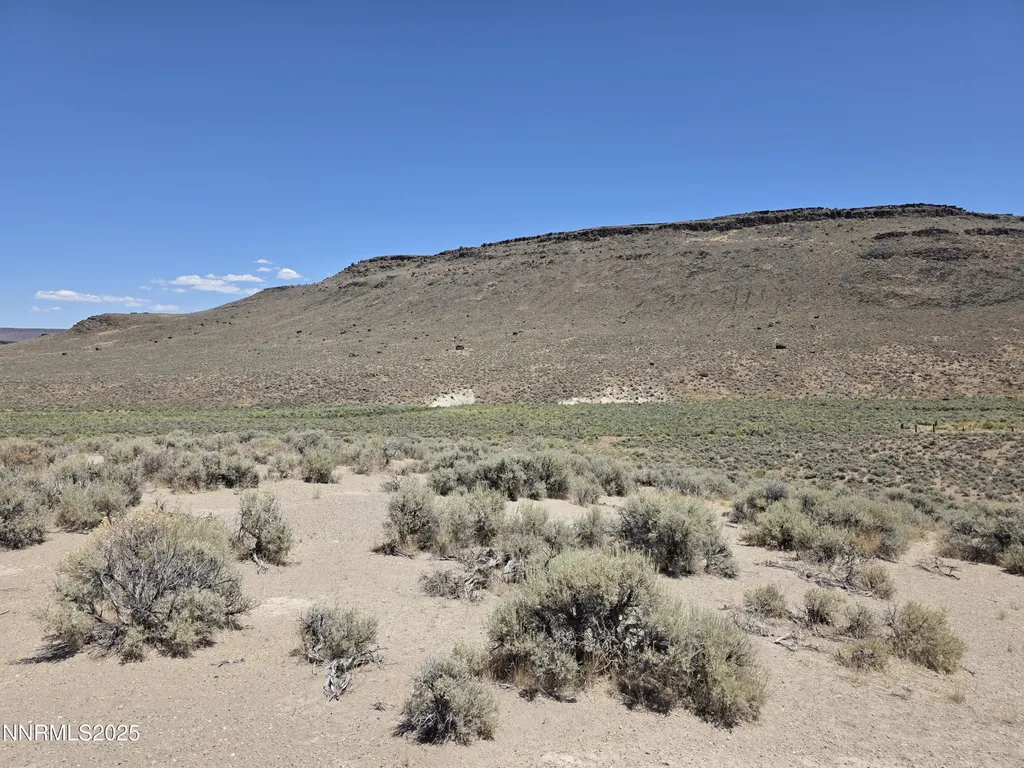 3301 High Rock Gerlach NV 89412