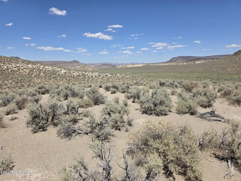 3301 High Rock Gerlach NV 89412