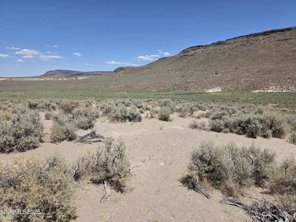 3301 High Rock Gerlach NV 89412
