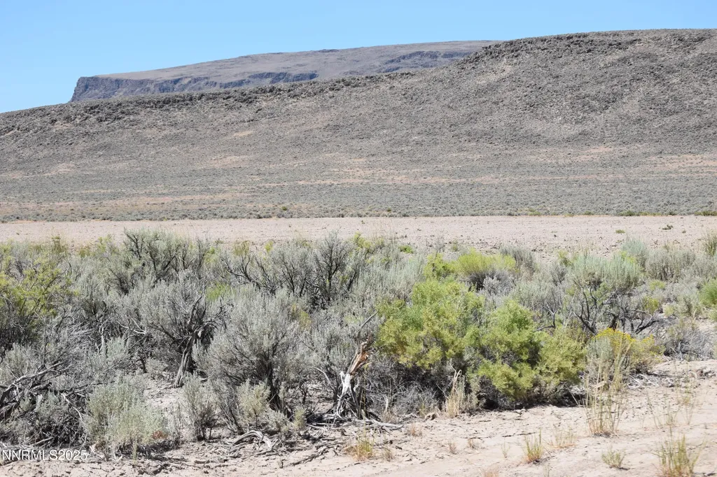 3301 High Rock Gerlach NV 89412