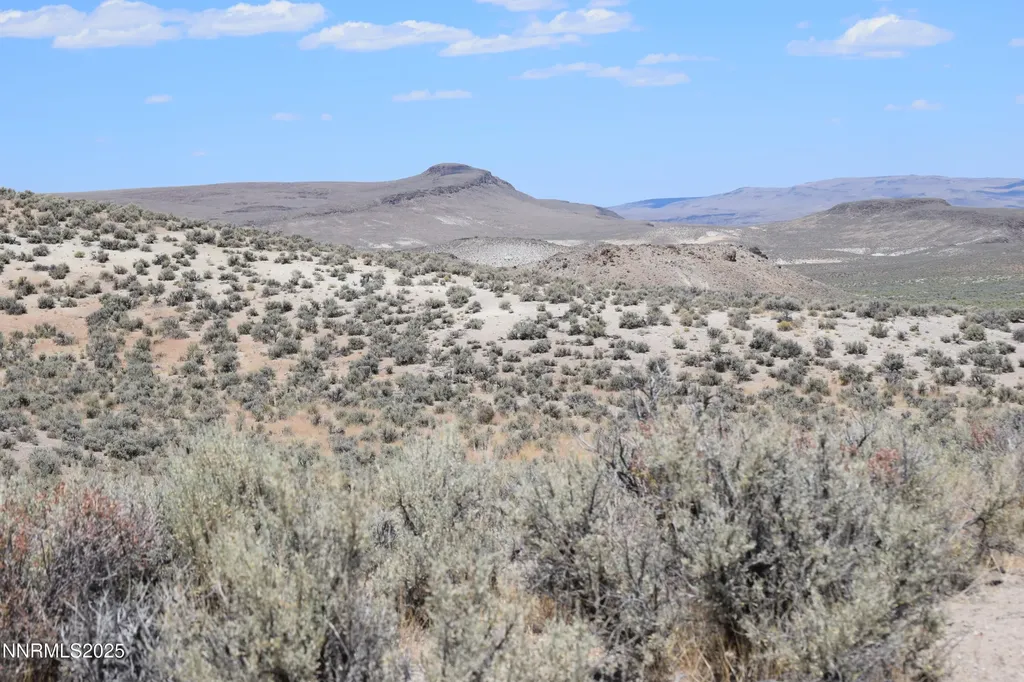3301 High Rock Gerlach NV 89412