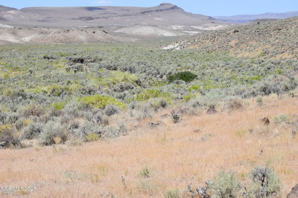 3301 High Rock Gerlach NV 89412