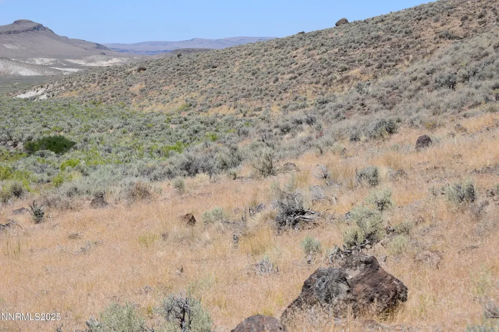 3301 High Rock Gerlach NV 89412