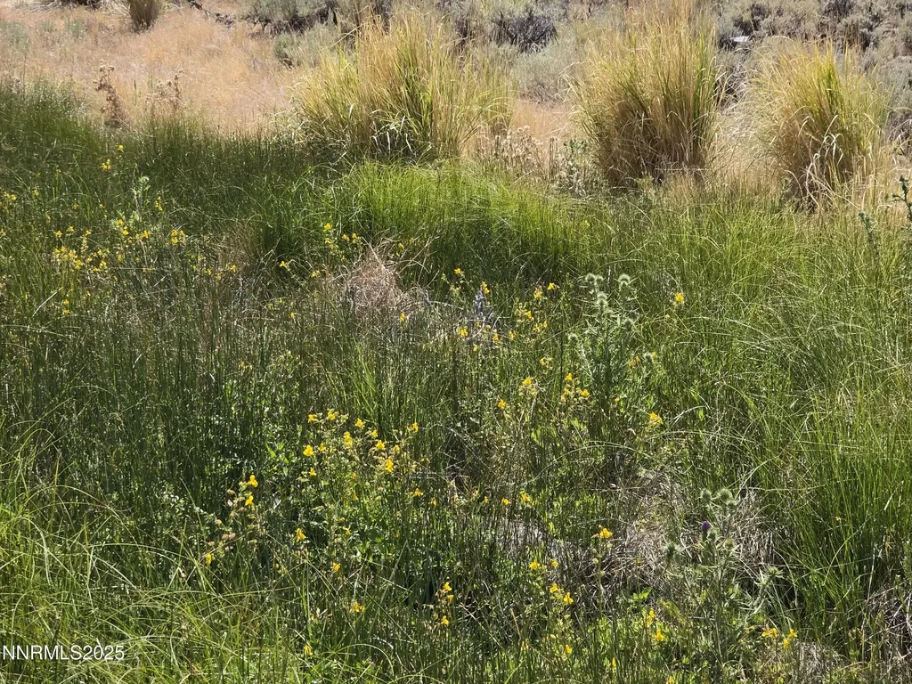 3305 High Rock Gerlach NV 89412
