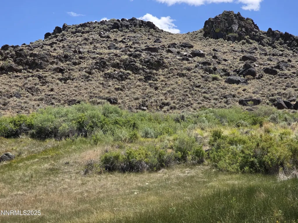 3305 High Rock Gerlach NV 89412