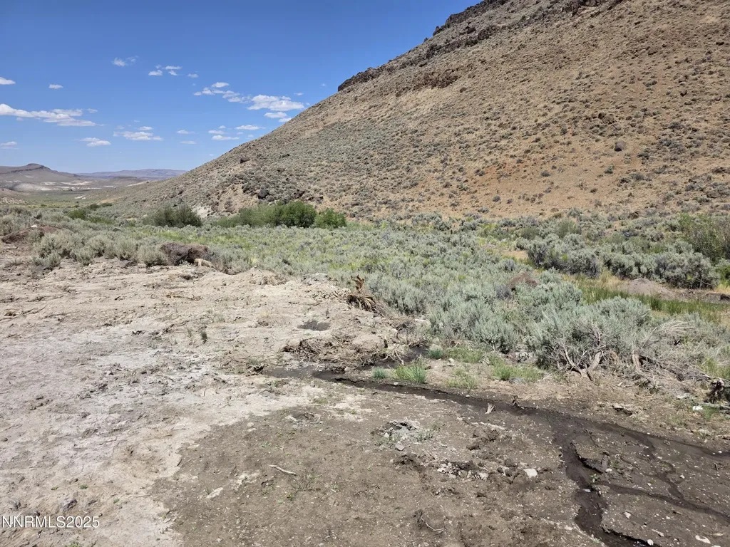 3305 High Rock Gerlach NV 89412