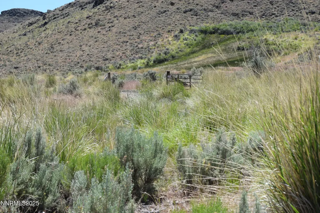 3305 High Rock Gerlach NV 89412
