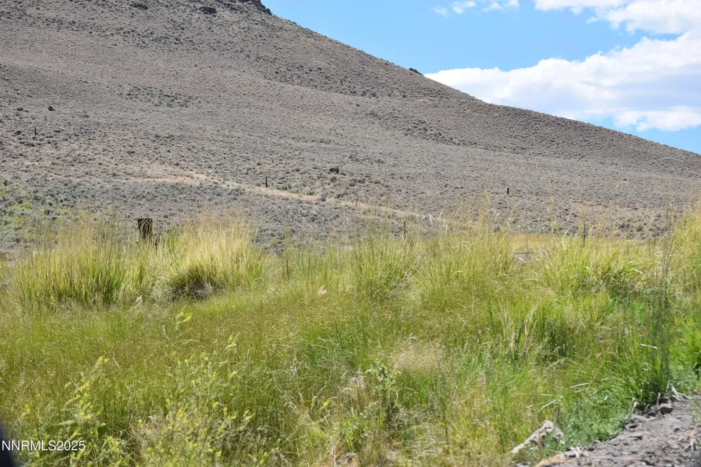 3306 High Rock Road Gerlach NV 89412