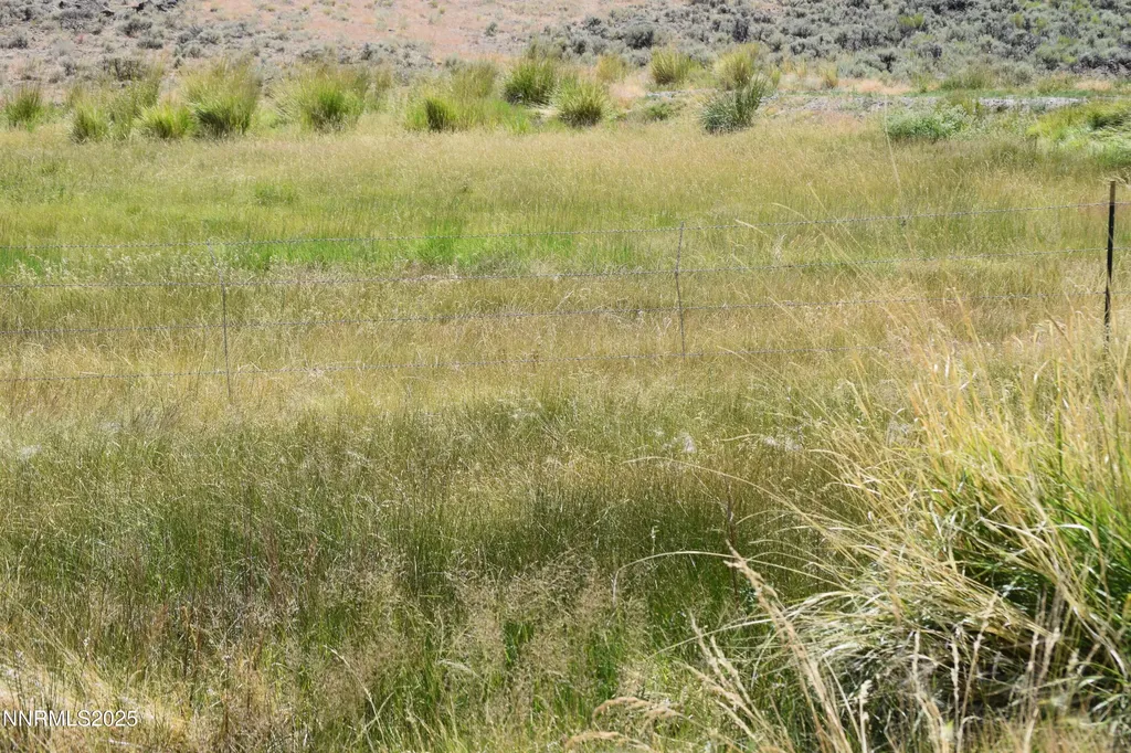 3306 High Rock Road Gerlach NV 89412