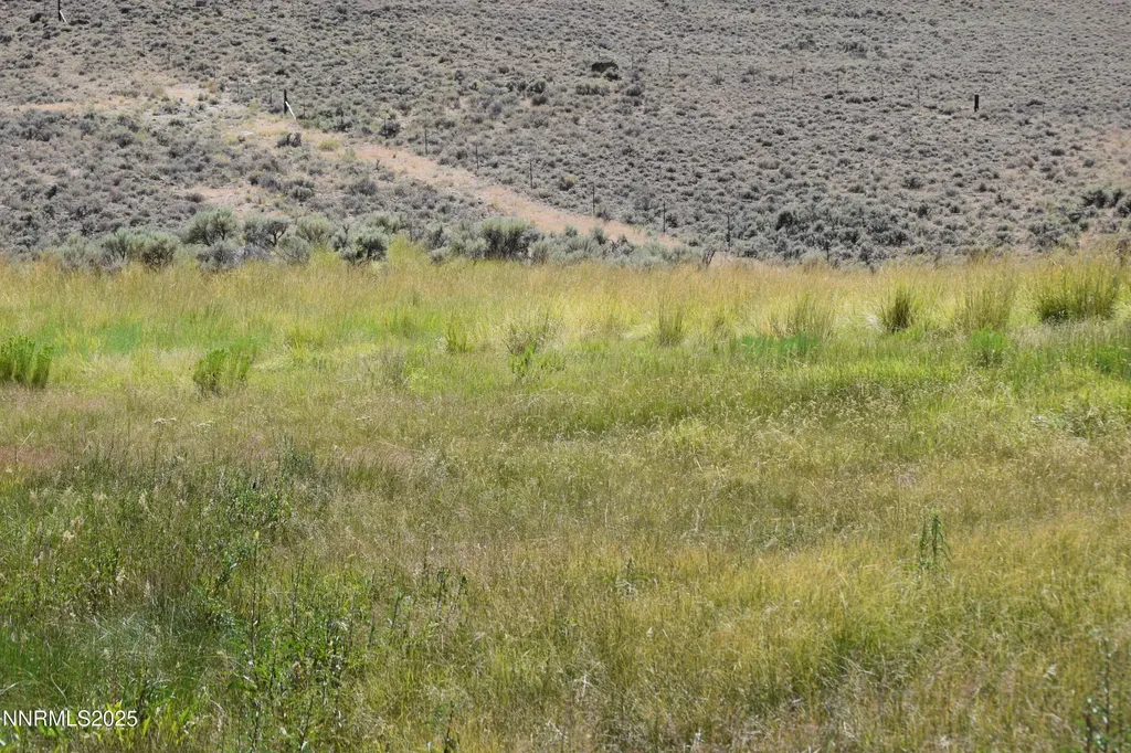3306 High Rock Road Gerlach NV 89412