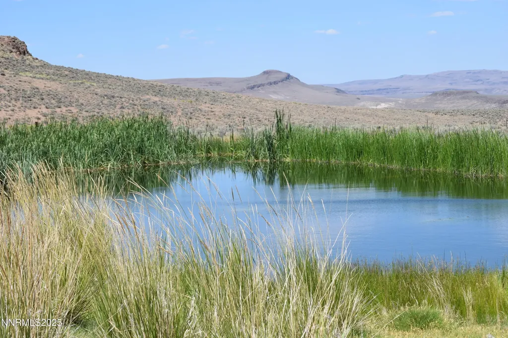 3306 High Rock Road Gerlach NV 89412