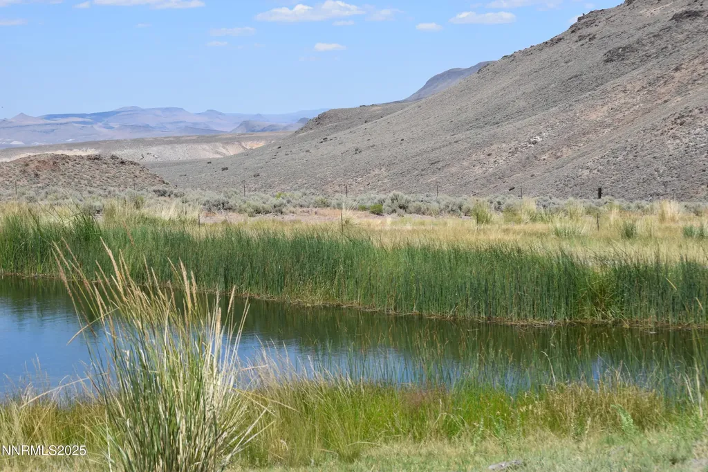 3306 High Rock Road Gerlach NV 89412