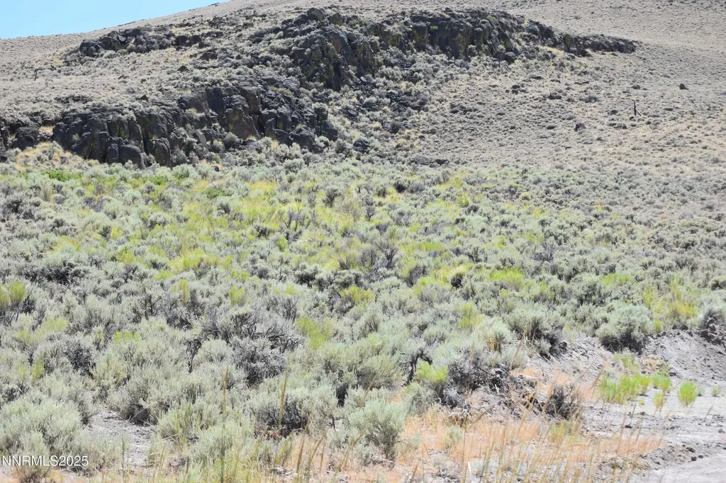 3306 High Rock Road Gerlach NV 89412