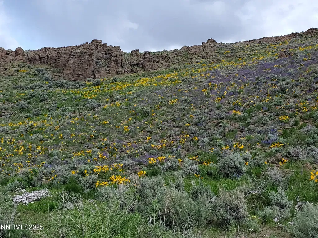3306 High Rock Road Gerlach NV 89412