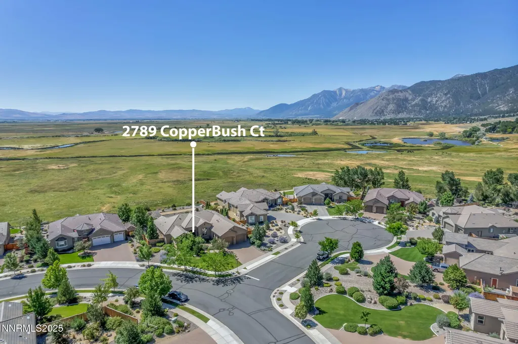 2789 Copperbush Genoa NV 89411
