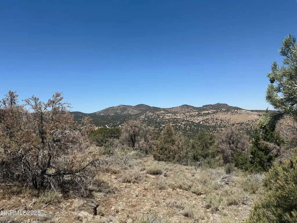 3960 Stovepipe Reno NV 89521