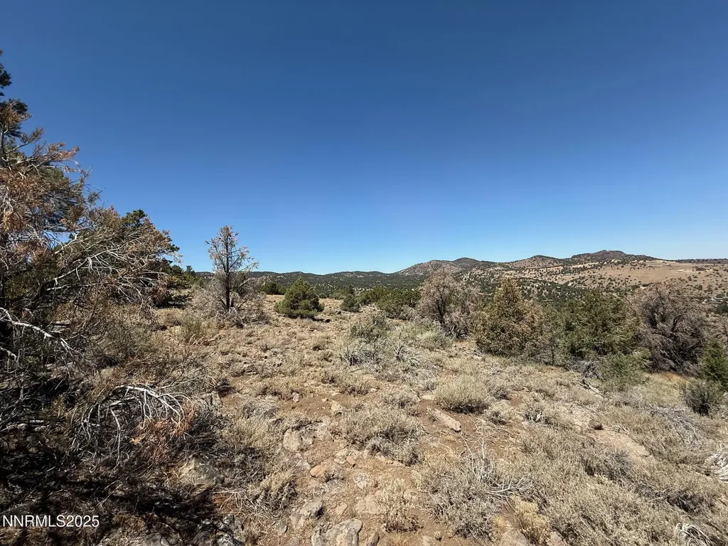 3960 Stovepipe Reno NV 89521