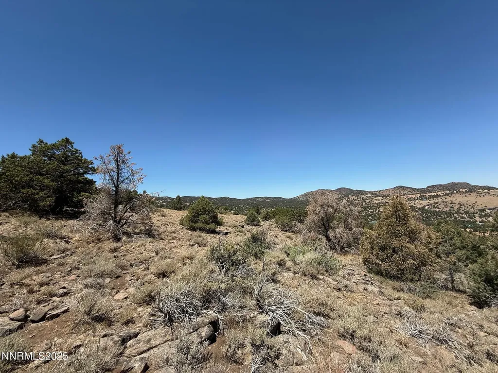3960 Stovepipe Reno NV 89521