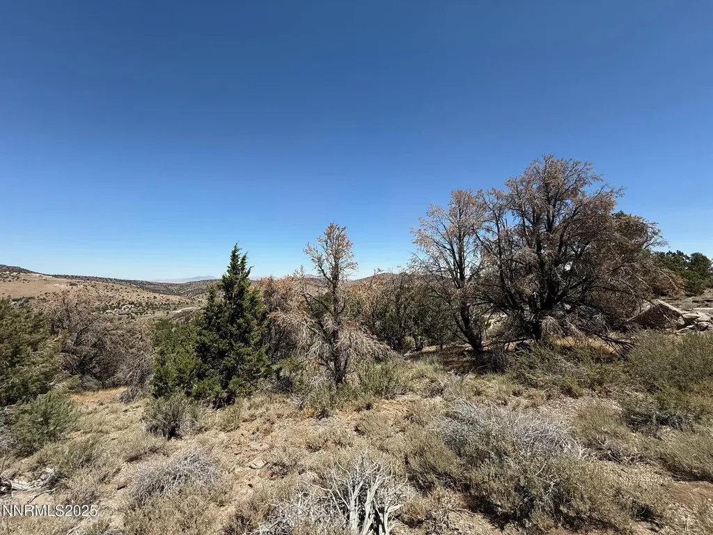 3960 Stovepipe Reno NV 89521