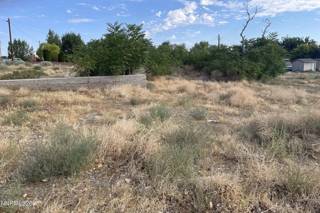 3 & 7 Bridge Yerington NV 89447