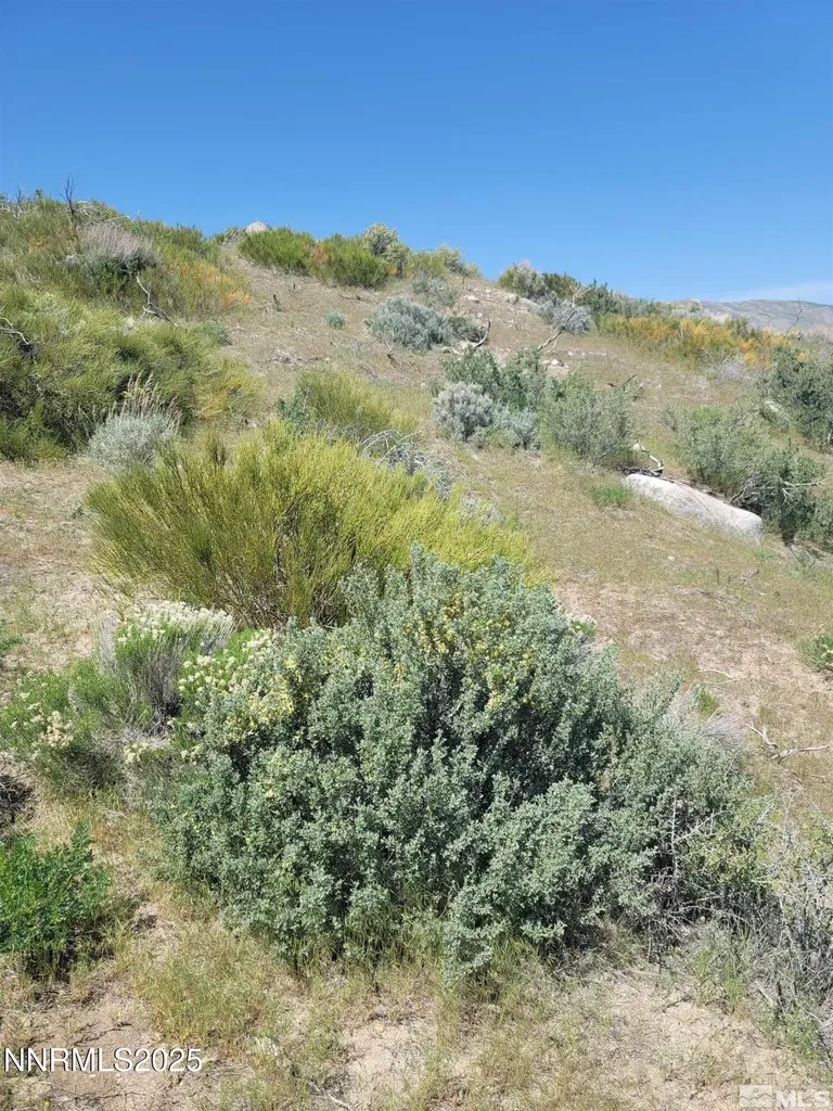 525 Prairie Dog Reno NV 89508