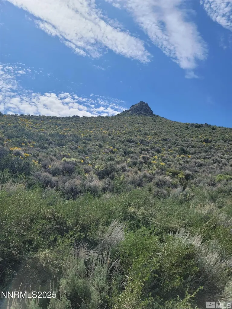 525 Prairie Dog Reno NV 89508