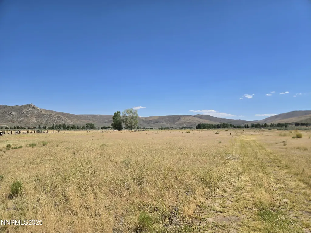 40 Cowhide Reno NV 89508