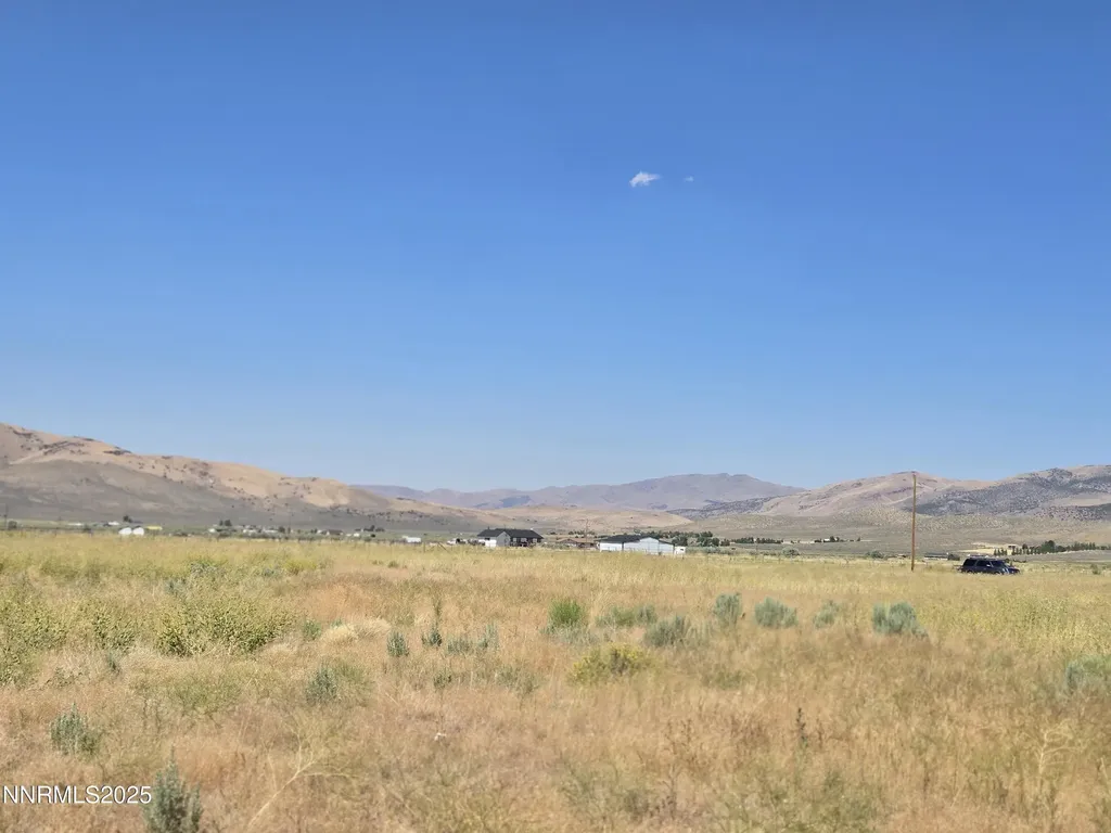 40 Cowhide Reno NV 89508