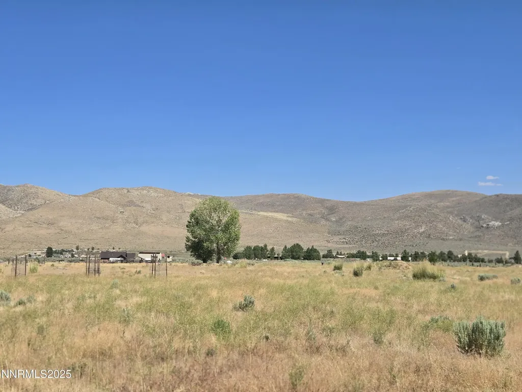 40 Cowhide Reno NV 89508
