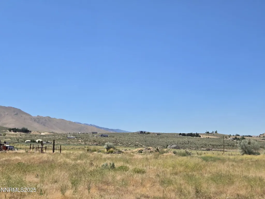 40 Cowhide Reno NV 89508