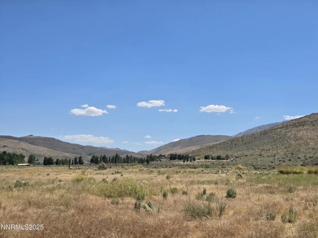 40 Cowhide Reno NV 89508