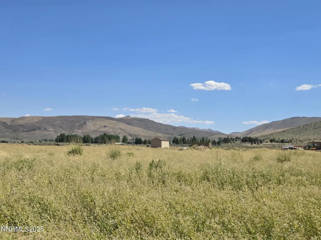 40 Cowhide Reno NV 89508