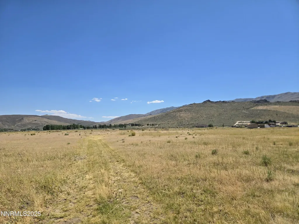 40 Cowhide Reno NV 89508