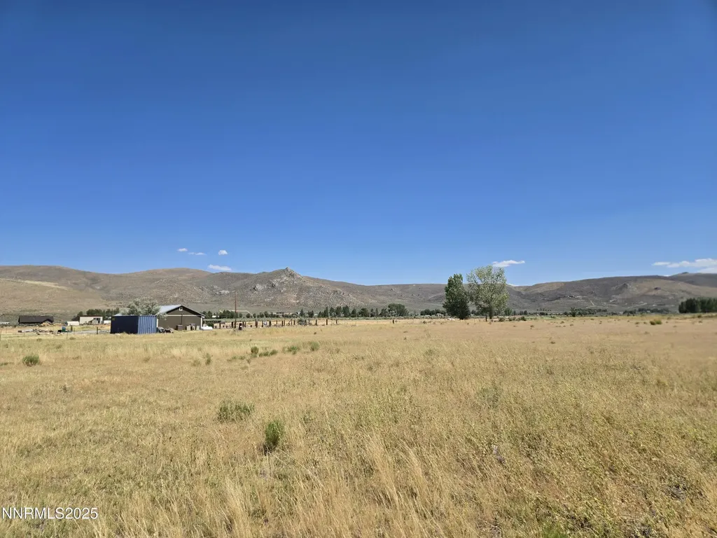 40 Cowhide Reno NV 89508
