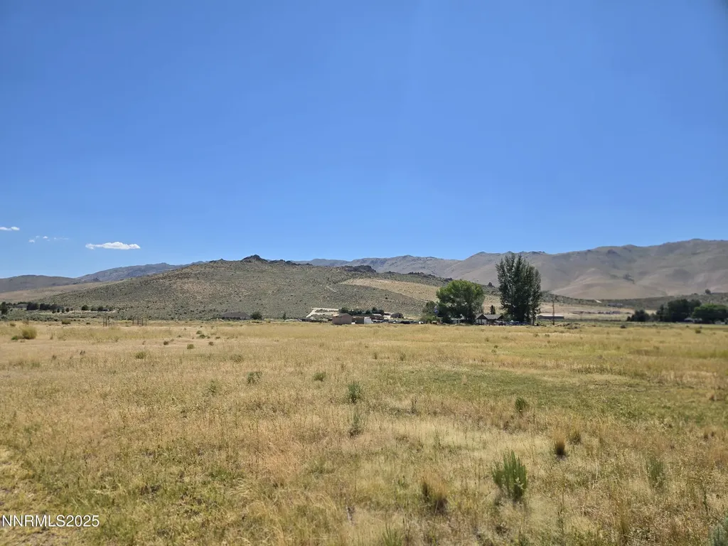 40 Cowhide Reno NV 89508