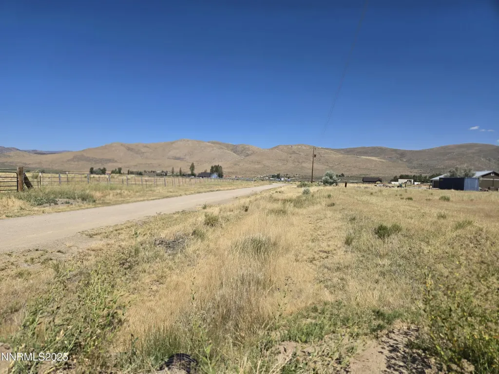40 Cowhide Reno NV 89508