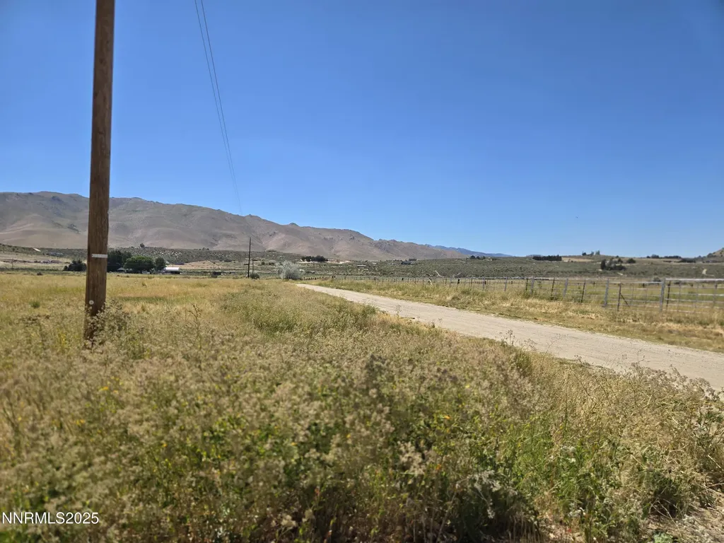 40 Cowhide Reno NV 89508